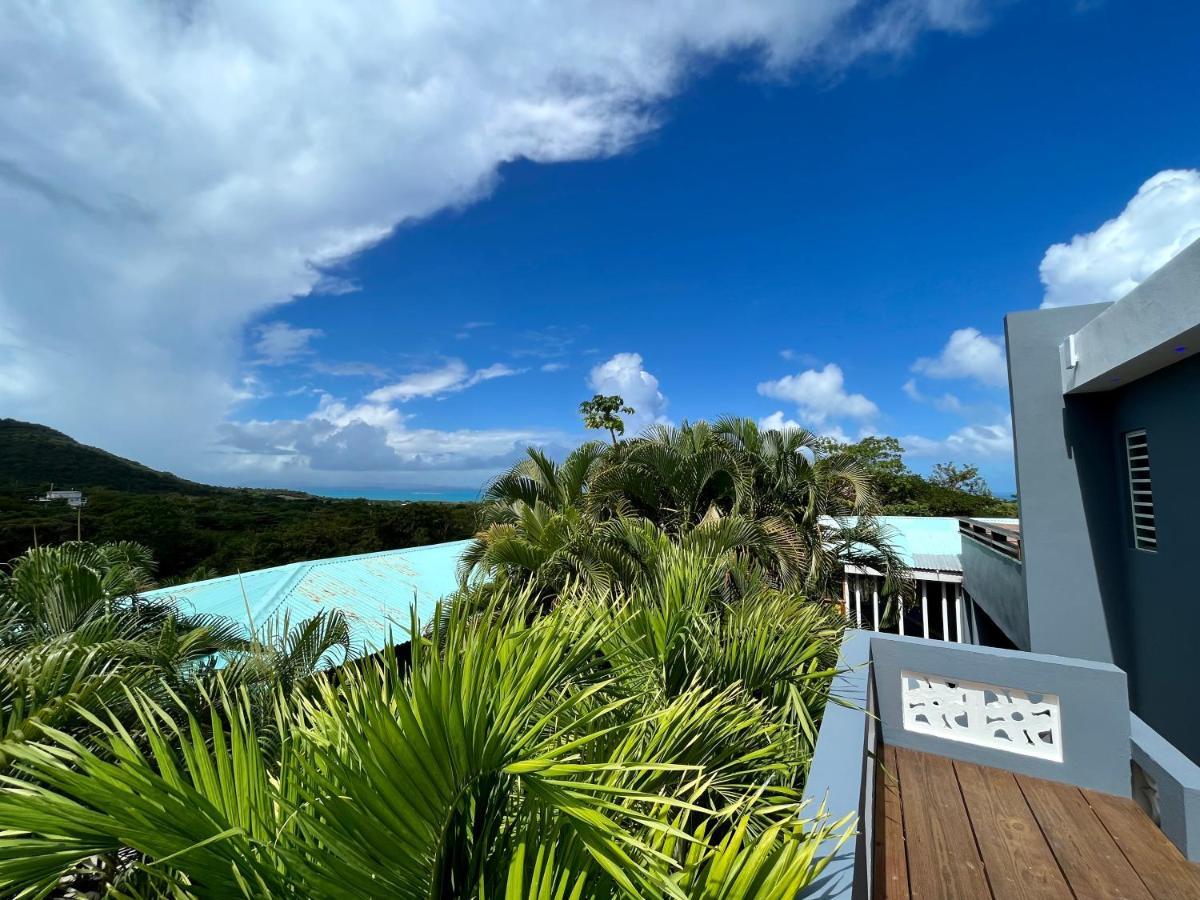 Old Crow Hotel And Suites Vieques Buitenkant foto